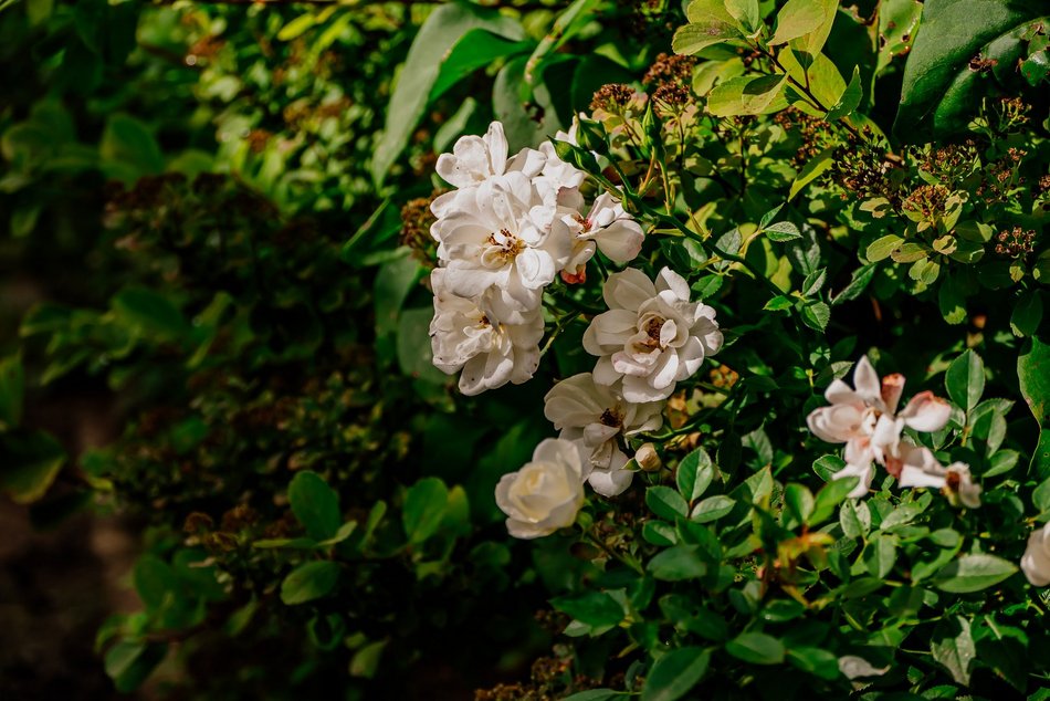 Łódź. Jesień w Ogrodzie Botanicznym w Łodzi. Tam z pewnością pokochasz tę porę roku!