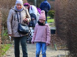 Łódź. Ogród Botaniczny w Łodzi