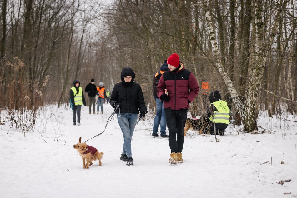 Łódź. Psy ze schroniska w Łodzi znów na spacerze! Dla tych wesołych pyszczków aż chce się chodzić!