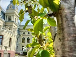 Po zimowej przerwie ogród Muzeum Miasta Łodzi ponownie czeka na gości.