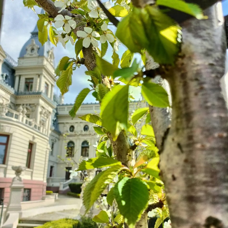 Po zimowej przerwie ogród Muzeum Miasta Łodzi ponownie czeka na gości.