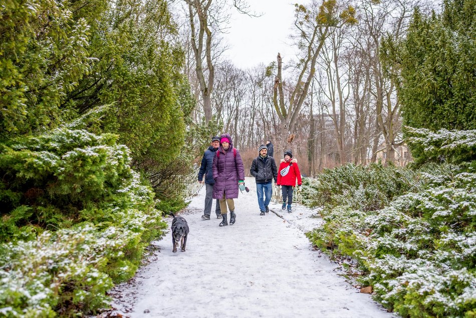 Park Poniatowskiego w zimowej szacie