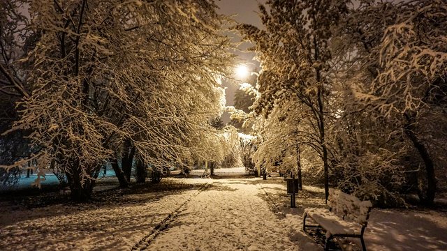 Parki w Łodzi bez oświetlenia w nocy. Ma być ekologicznie i ekonomicznie