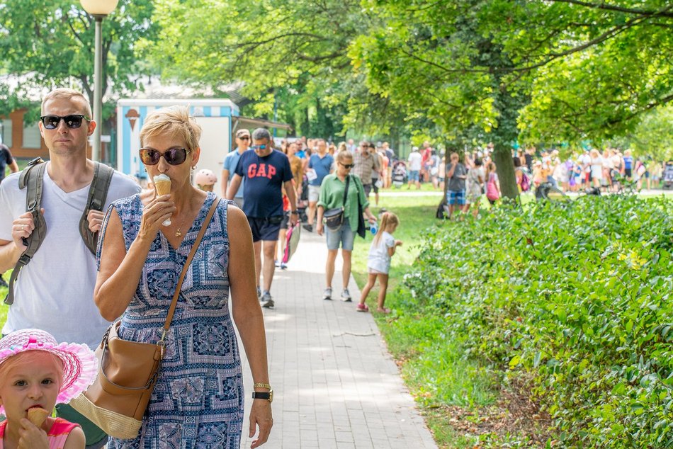 Piknik rodzinny na Stawach Jana