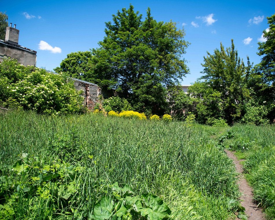 Łódź. Nowe mieszkania miejskie przy Złotej. Będzie 30 lokali i 36 miejsc parkingowych