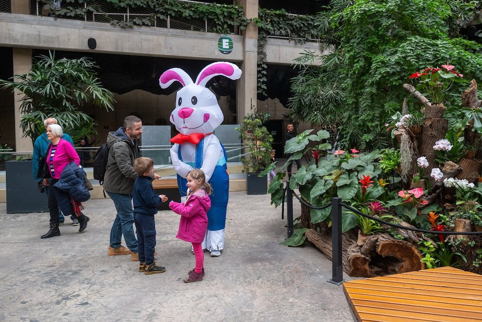 Łódź. Wielkanocny zając w Orientarium Zoo Łódź