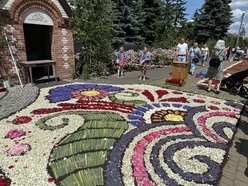 Łódź. Boże Ciało w Łódzkiem. Kwiatowe dywany w Spycimierzu