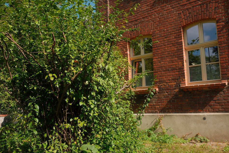 Łódź. Dom Dziennego Pobytu w Łodzi czeka zielona metamorfoza