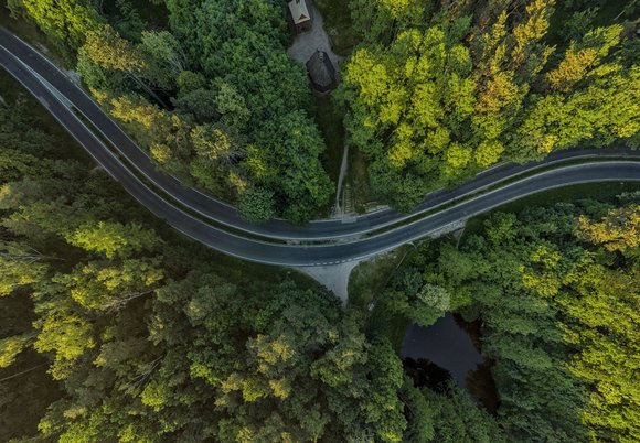 Łódź. Bezpłatny spacer z Zieloną Łodzią. Poznaj wschodnią część Lasu Łagiewnickiego 