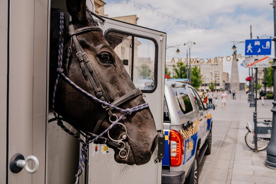 Nowy nabytek Straży Miejskiej w Łodzi. To specjalnie wyposażony wóz!