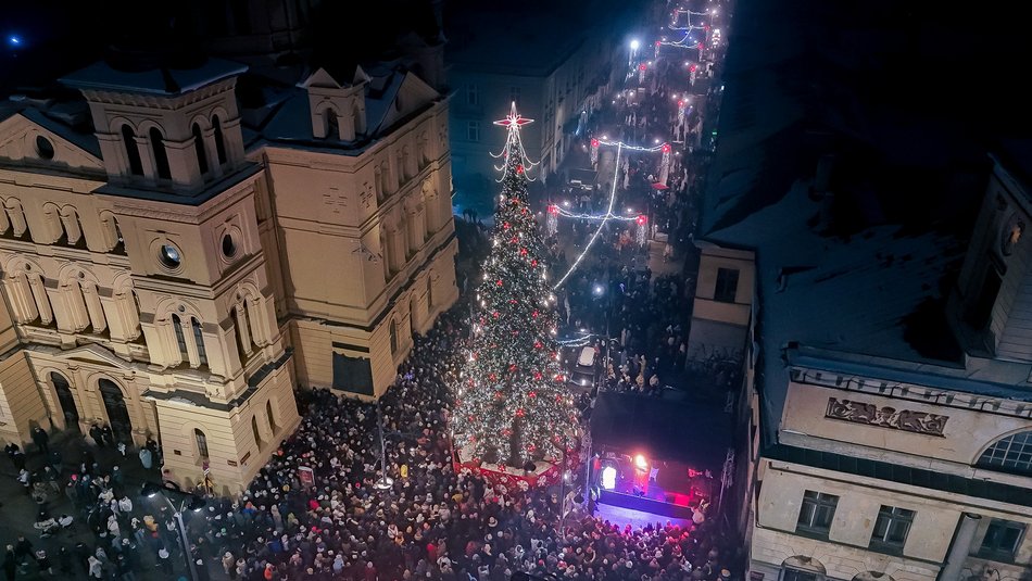 Choinka na Piotrkowskiej w Łodzi już świeci! Tłumy łodzian na placu Wolności