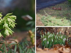 Łódź. Ogród Botaniczny w Łodzi
