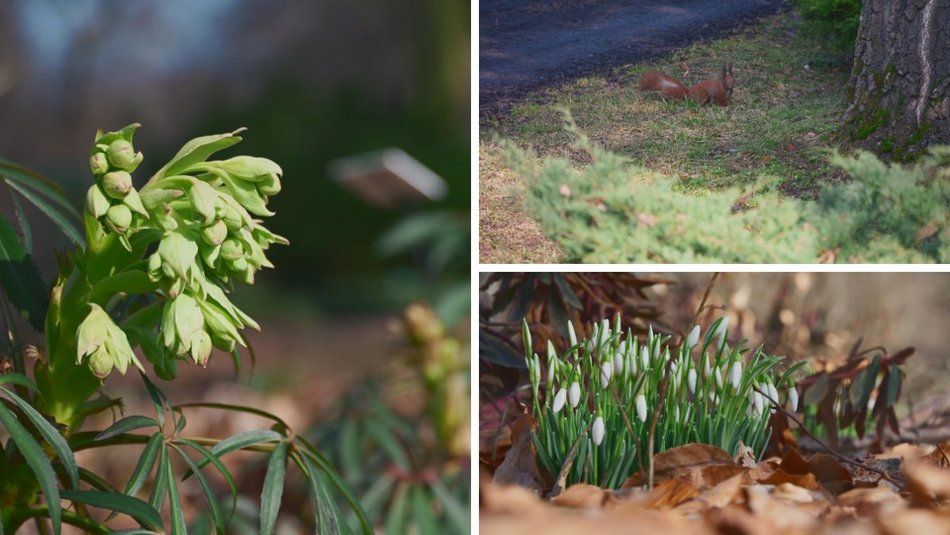 Łódź. Ogród Botaniczny w Łodzi