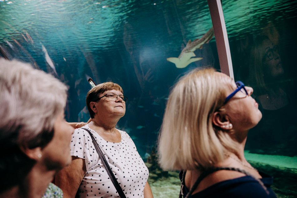 Łódź. Darmowe wejście do Orientarium Zoo Łódź dla seniorów. Nawet trzy wizyty rocznie!