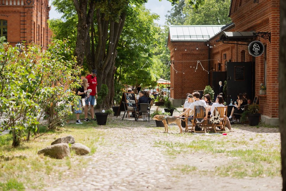 Łódź. Spacerowicze na Księżym Młynie i w Parku Źródliska w Łodzi. Recepta na udany weekend