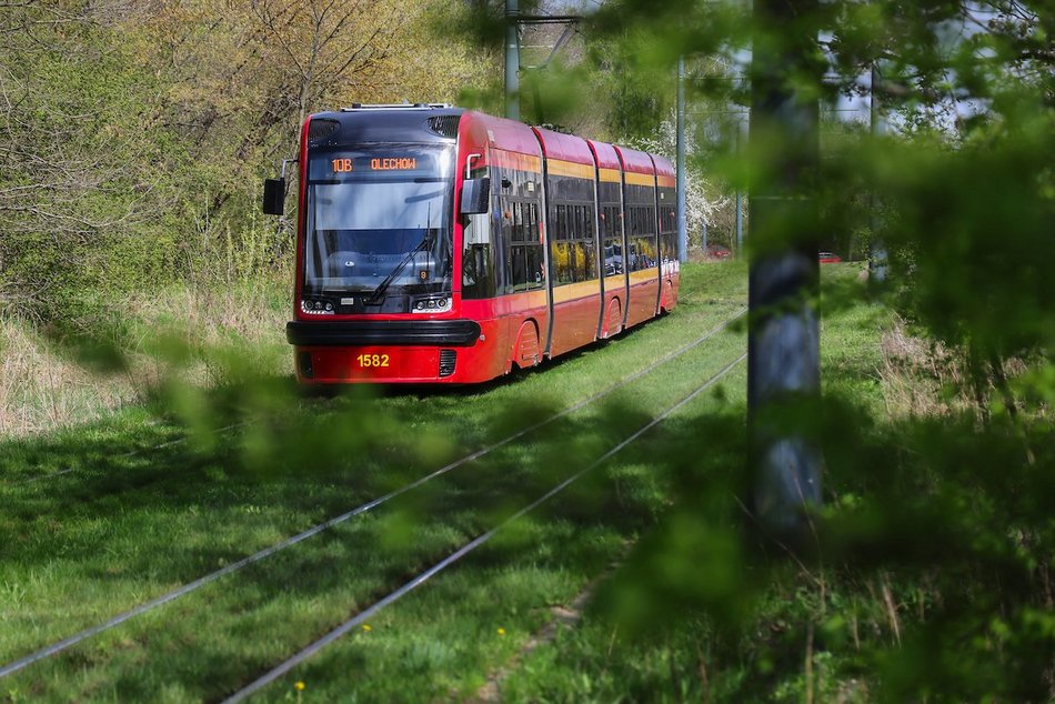 Łódź. Zielona trasa W-Z w Łodzi. Ponad 2 tysiące drzew kwitnie od Retkini po Olechów!