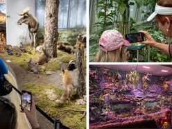 Łódź. Gdzie w Łodzi znaleźć zieleń zimą? Nasze propozycje atrakcji w ogrzewanych wnętrzach