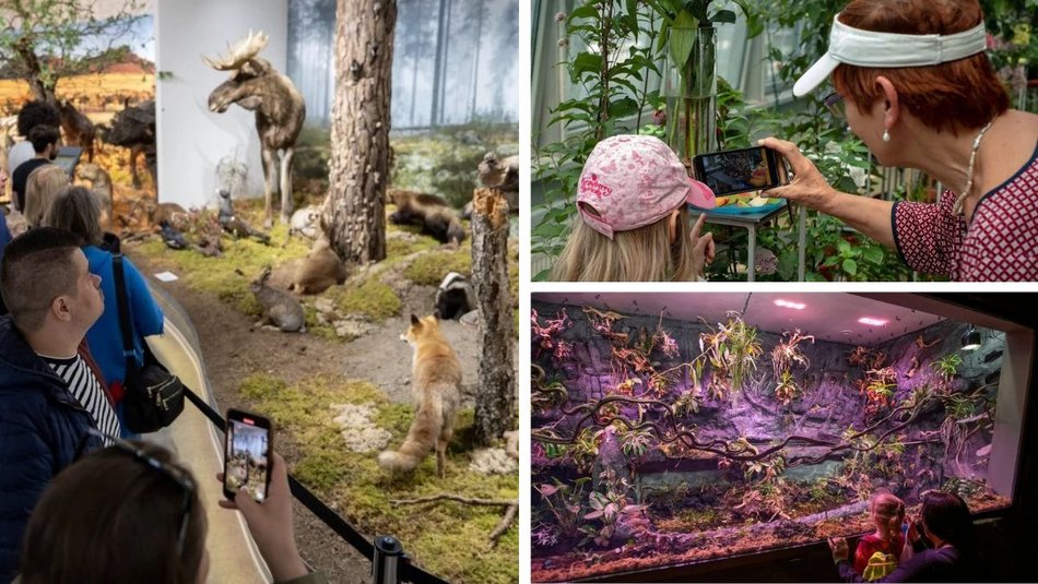 Łódź. Gdzie w Łodzi znaleźć zieleń zimą? Nasze propozycje atrakcji w ogrzewanych wnętrzach