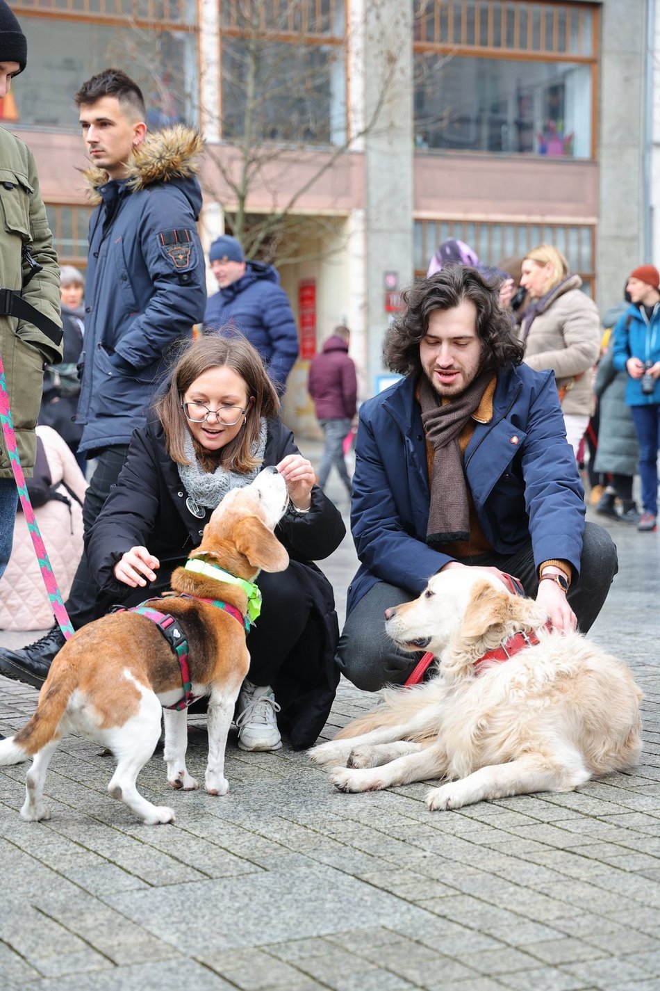 Parada Kundelków w Łodzi