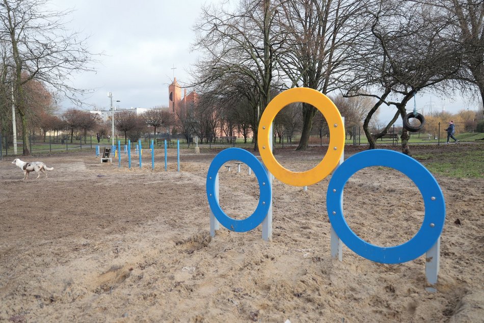 Łódź. Z czworonogiem na plac zabaw? W Łodzi powstaną kolejne psie parki