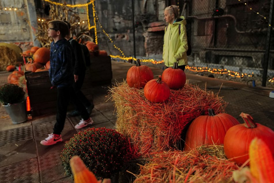 Farma Dyniowa w Fuzji. Poczuj klimat jesieni w centrum Łodzi!