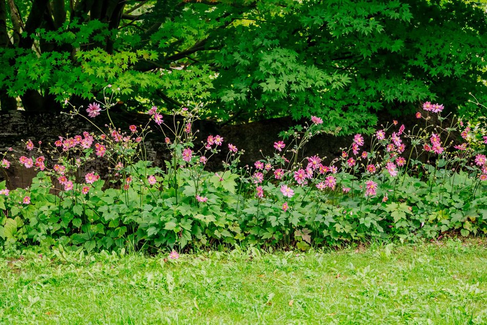 Łódź. Jesień w Ogrodzie Botanicznym w Łodzi. Tam z pewnością pokochasz tę porę roku!