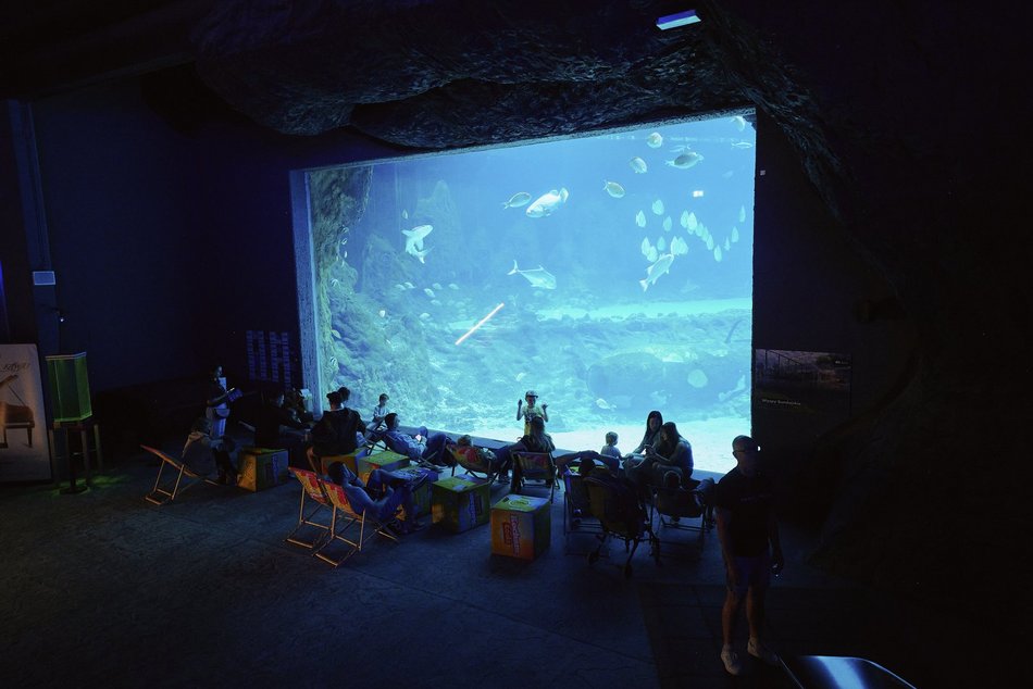 Łódź. Orientarium Zoo Łódź