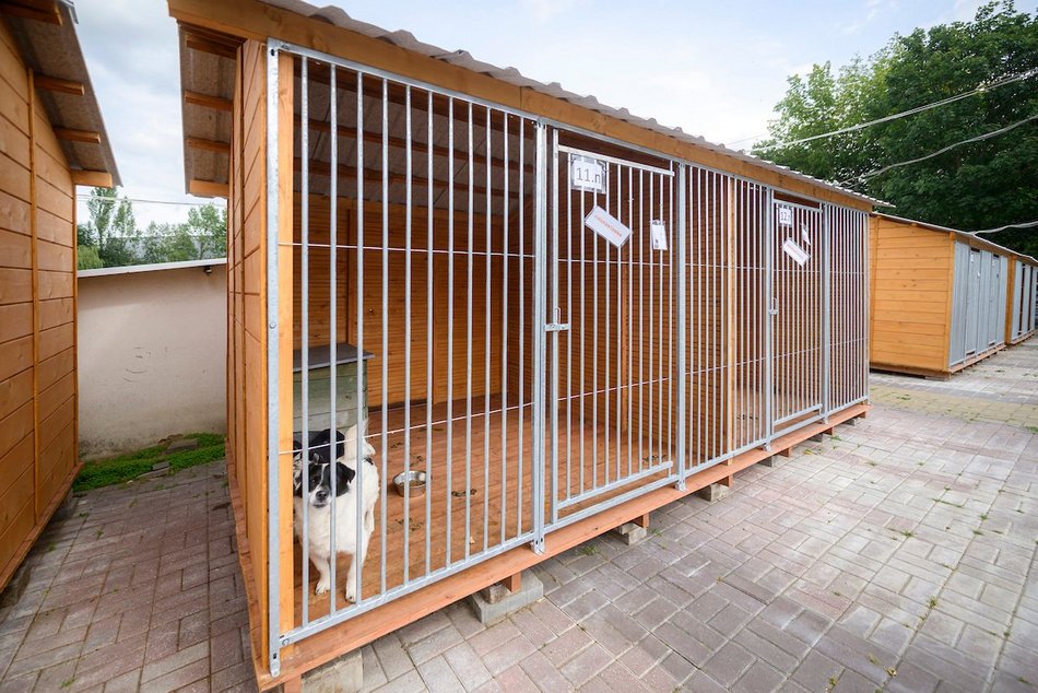 Łódź. schronisko w Łodzi