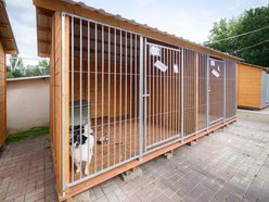 Łódź. schronisko w Łodzi