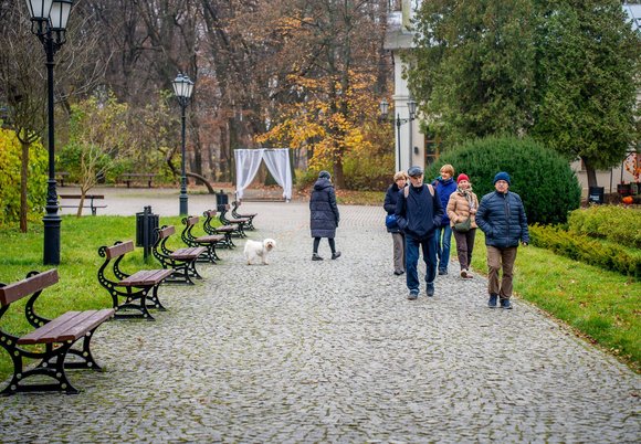 Łódź. Gdzie udać się na zimowy spacer w Łodzi? Las Łagiewnicki, Arturówek i więcej 