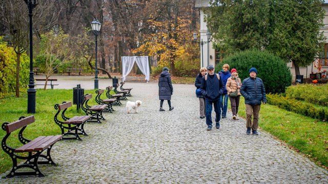 Gdzie udać się na zimowy spacer w Łodzi? Las Łagiewnicki, Arturówek i więcej [ZDJĘCIA]