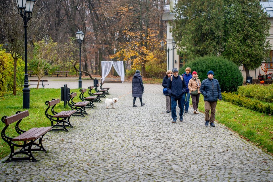 Łódź. Gdzie udać się na zimowy spacer w Łodzi? Las Łagiewnicki, Arturówek i więcej 