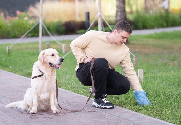 Łódź. Zawsze sprzątaj po swoim czworonogu. To nie jest kupa roboty 