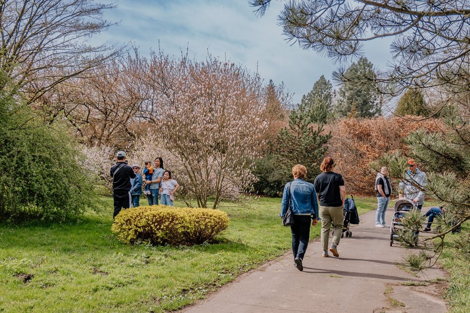 Ogród Botaniczny w Łodzi otwarty