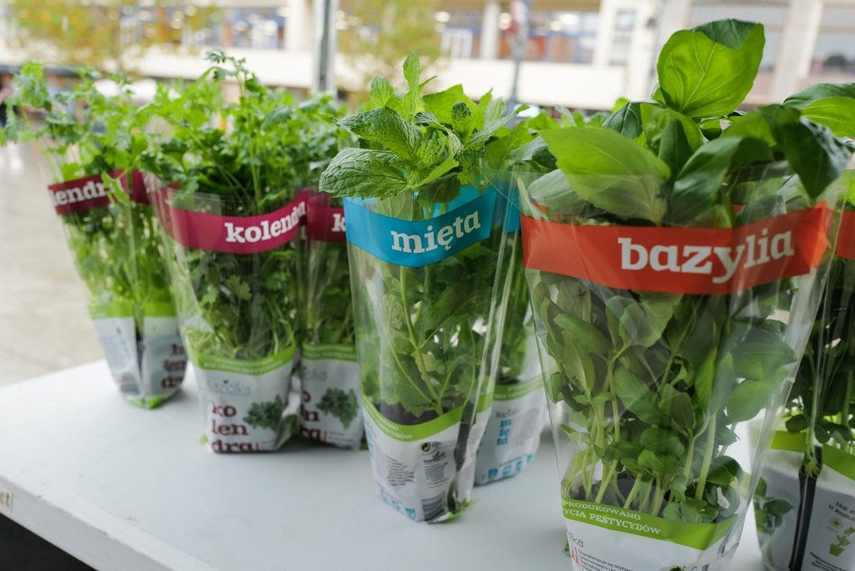 Światowy Dzień Recyklingu Baterii w Łodzi