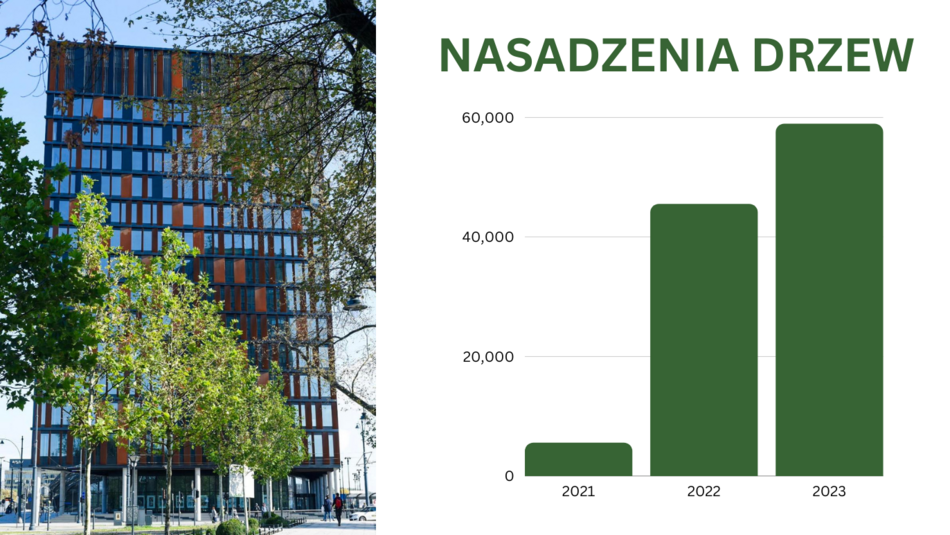 Nasadzenia drzew w Łodzi - w 2021, 2022 i 2023 r.