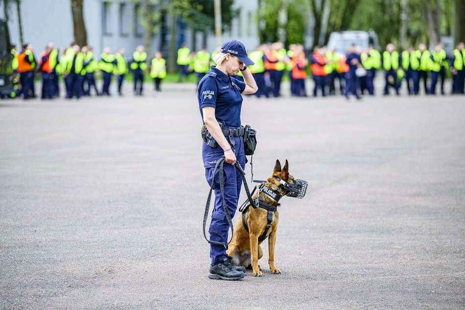 Łódź. Zwierzęta Straży Miejskiej na szkoleniu