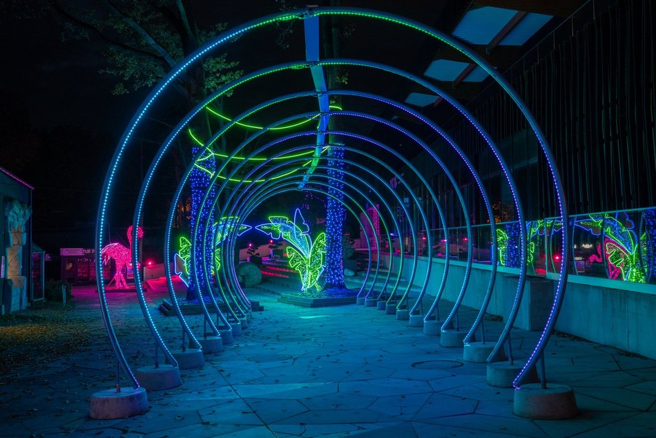 Park Miliona Świateł w Łodzi otwarty! Magiczne zwierzęta opanowały Orientarium Zoo Łódź
