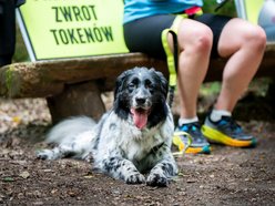 Łódź. Parkrun w Lesie Łagiewnickim w Łodzi. Brałeś udział w biegu? Znajdź się na zdjęciach!