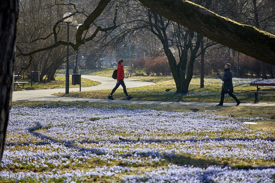 Co robić w długi weekend w Łodzi