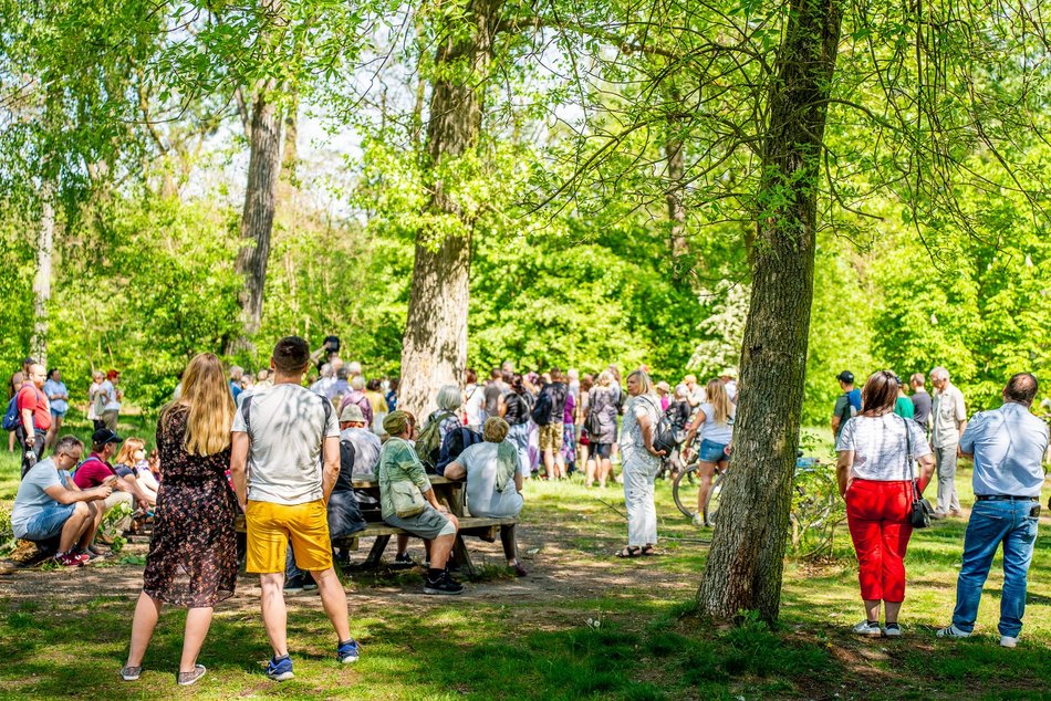 grupa ludzi spaceruje w naturze