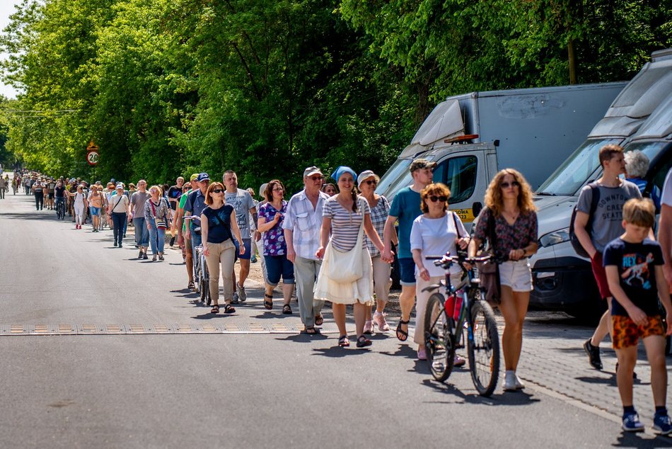 grupa ludzi spaceruje w naturze