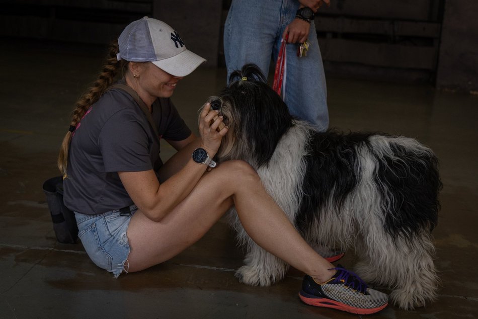 Łódź. Gastro dla schroniska w Łodzi. Tak się łączy miłość do jedzenia, muzyki i zwierząt!