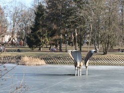 Remont Parku Reymonta w Łodzi. Na co przeznaczą 250 tys. złotych dofinansowania?