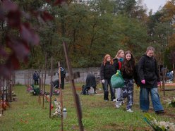 Światełko Pamięci na cmentarzu przy Zakładowej w Łodzi. Wolontariusze zapalili znicze