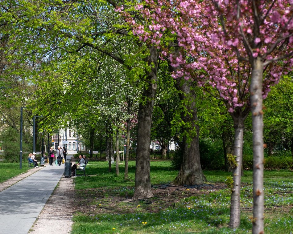 Łódź. Park Moniuszki w wiosennej odsłonie. Kolorowe kadry z centrum miasta