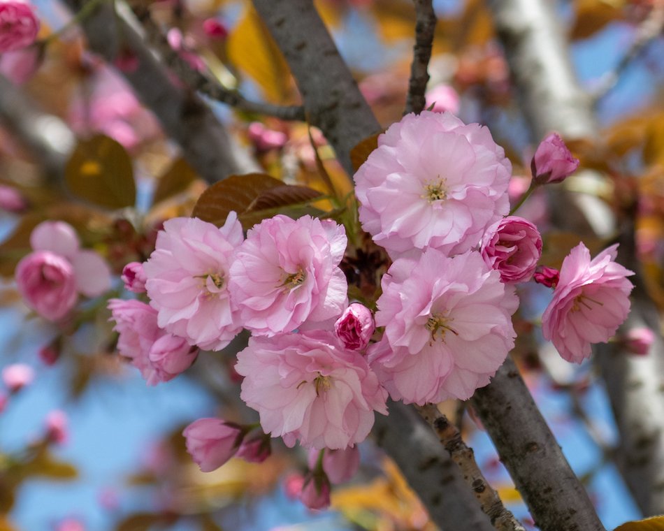 Łódź. Park Moniuszki w wiosennej odsłonie. Kolorowe kadry z centrum miasta