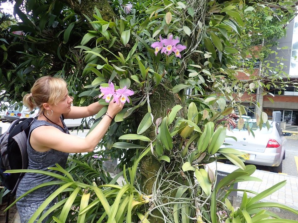 Łódź. Królowa storczyków z Uniwersytetu Łódzkiego. Prof. Marta Kolanowska odkryła ponad 400 gatunków