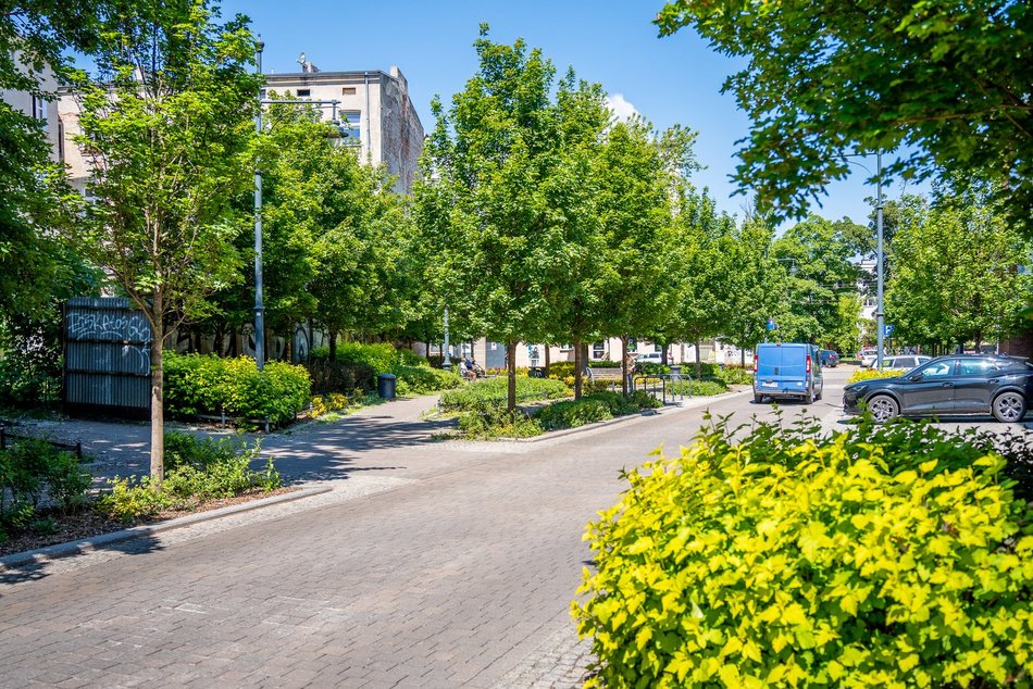 Łódź. Łódź weszła w lato na zielono! Tysiące nowych drzew, kwiaty i trawniki