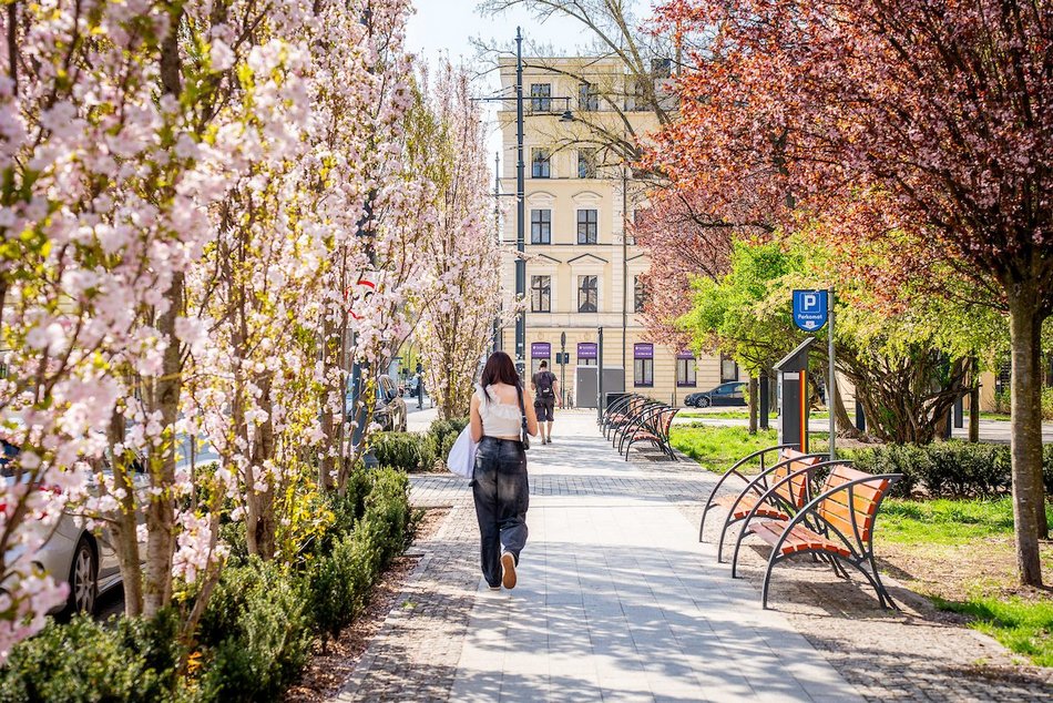 Łódź. Najpiękniejszy skwer? Kiedyś zaniedbany trawnik, dzisiaj kwitnący ogród